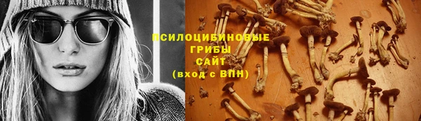 индика Абдулино