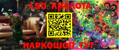 прущие грибы Новодвинск