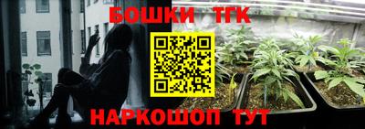 прущие грибы Новодвинск