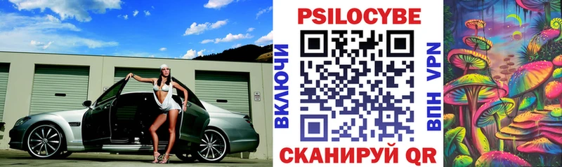 где купить   Элиста  Галлюциногенные грибы мухоморы 