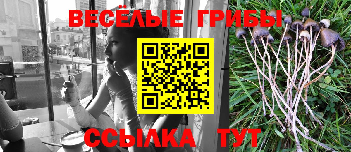 Псилоцибиновые грибы GOLDEN TEACHER Элиста